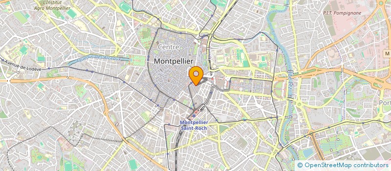 localisation de l'entreprise MONSIEUR RENATO HIDALGO GONZALEZ à MONTPELLIER