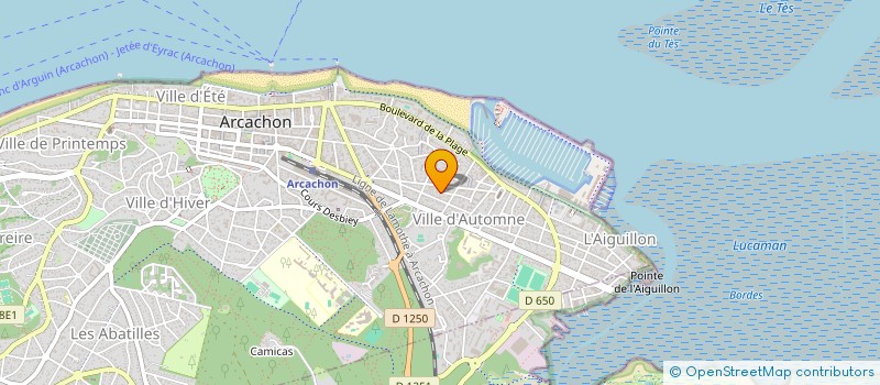 localisation de l'entreprise MONSIEUR RENAUD FLOREANI  ARCACHON