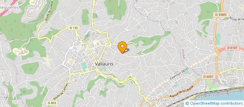 localisation de l'entreprise MONSIEUR RENAUD GICQUEL à VALLAURIS