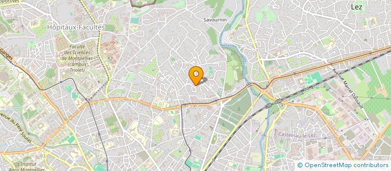 localisation de l'entreprise MONSIEUR RENAUD KIESGEN DE RICHTER à MONTPELLIER