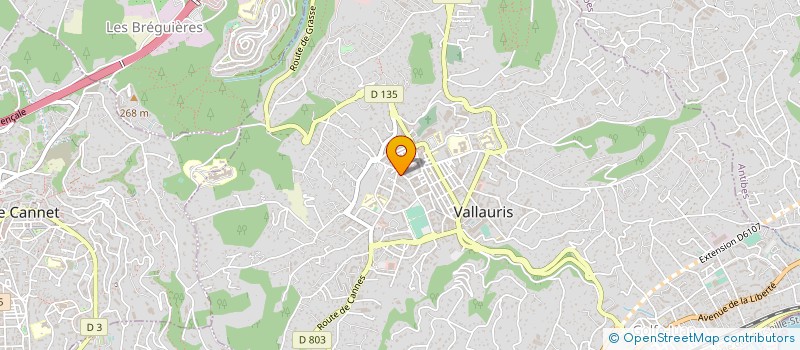 localisation de l'entreprise MONSIEUR RENAUD LEMBO à VALLAURIS