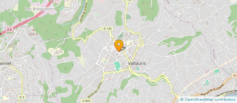 localisation de l'entreprise MONSIEUR RENE ARMANDO à VALLAURIS