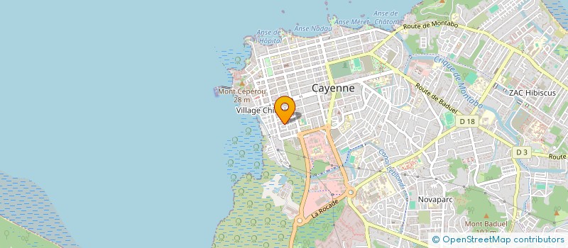 localisation de l'entreprise MONSIEUR RENE BOURDON à CAYENNE
