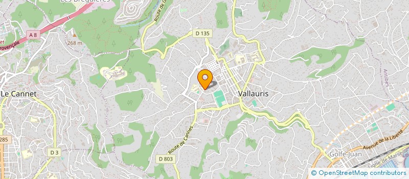 localisation de l'entreprise MONSIEUR RENE BOUTIN à VALLAURIS