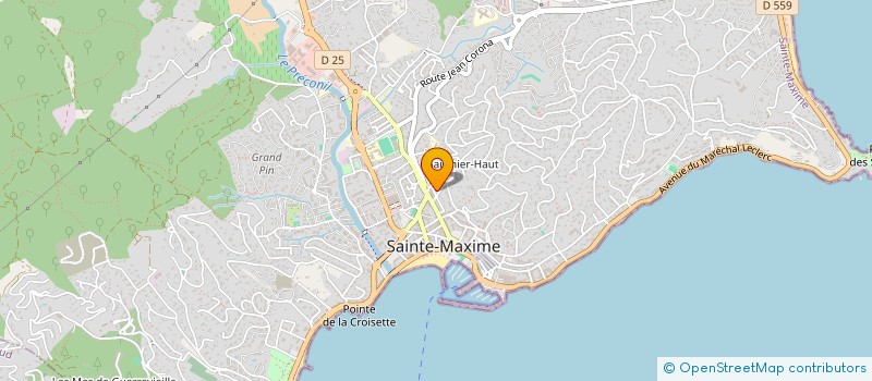 localisation de l'entreprise MONSIEUR RENE CHAY à SAINTE-MAXIME