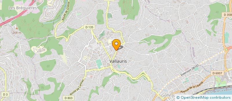 localisation de l'entreprise MONSIEUR RENE CRESP à VALLAURIS