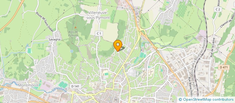 localisation de l'entreprise MONSIEUR RENE DUTIN  LONS-LE-SAUNIER