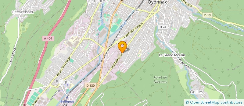 localisation de l'entreprise MONSIEUR RENE GAGET à OYONNAX