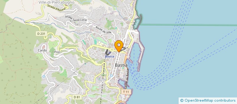localisation de l'entreprise MONSIEUR RENE GENEVIEVE à BASTIA
