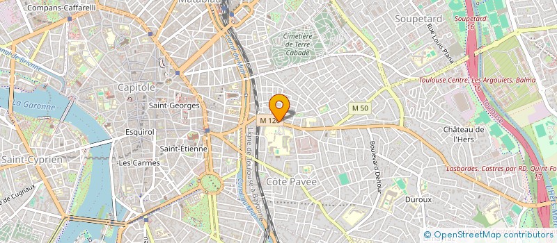 localisation de l'entreprise MONSIEUR RENE JEAN-CHARLES  TOULOUSE