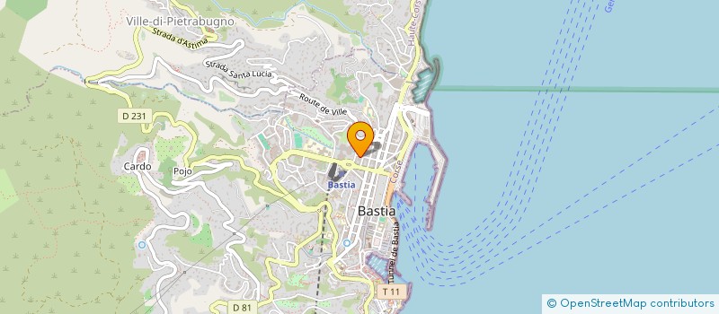 localisation de l'entreprise MONSIEUR RENE JULIEN à BASTIA