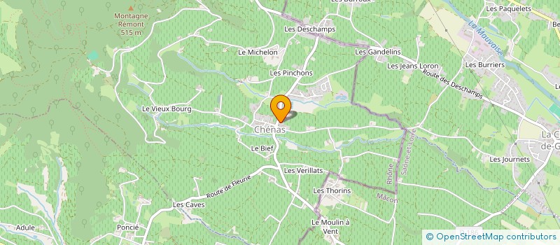 localisation de l'entreprise MONSIEUR RENE LEBEAUPIN  CHENAS