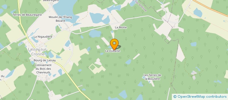 localisation de l'entreprise MONSIEUR RENE LEYSER  SOINGS-EN-SOLOGNE