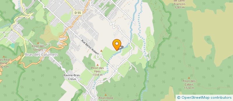 localisation de l'entreprise MONSIEUR RENE LIZIEUX  SAINT-BENOIT