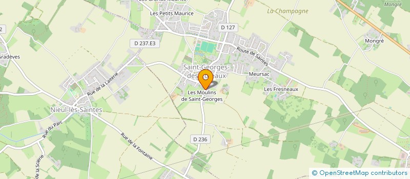 localisation de l'entreprise MONSIEUR RENE LOISEAU à SAINT-GEORGES-DES-COTEAUX
