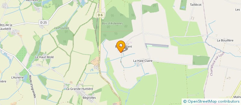 localisation de l'entreprise MONSIEUR RENE LORE à INGRANDES-LE-FRESNE-SUR-LOIRE
