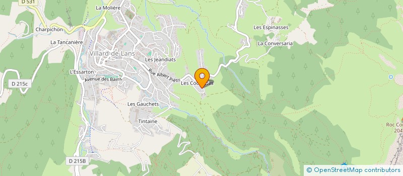 localisation de l'entreprise MONSIEUR RENE MAGNAT à VILLARD-DE-LANS