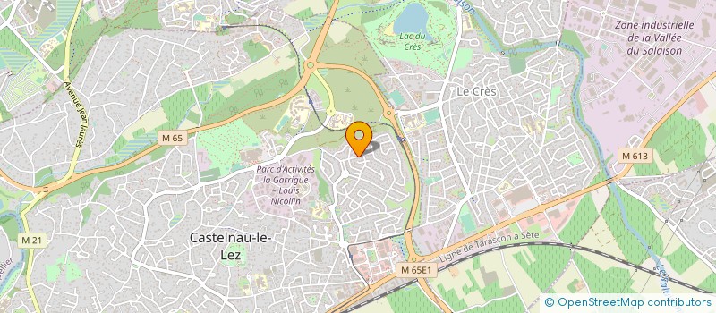localisation de l'entreprise MONSIEUR RENE MILLERET à CASTELNAU-LE-LEZ