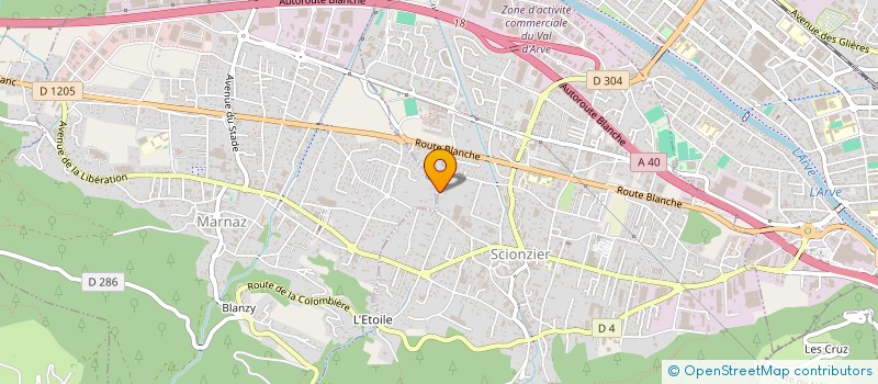 localisation de l'entreprise MONSIEUR RENE MOENE  SCIONZIER