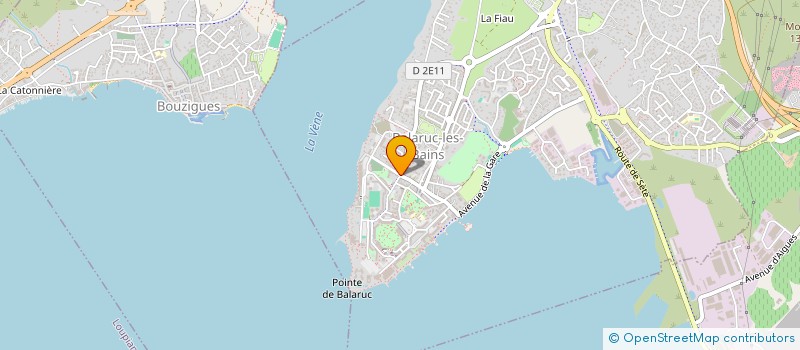 localisation de l'entreprise MONSIEUR RENE RAJA  BALARUC-LES-BAINS