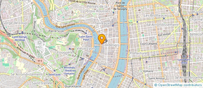 localisation de l'entreprise MONSIEUR RENE RIOU à LYON