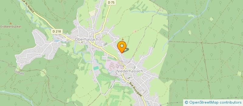 localisation de l'entreprise MONSIEUR RENE SCHULLER  OBERHASLACH