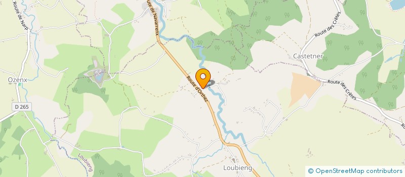 localisation de l'entreprise MONSIEUR RENE SUPERVIELLE  LOUBIENG