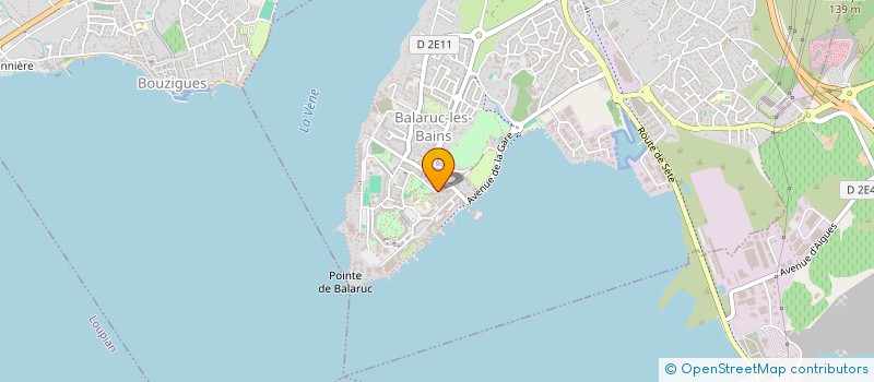 localisation de l'entreprise MONSIEUR RENE VIIEU  BALARUC-LES-BAINS