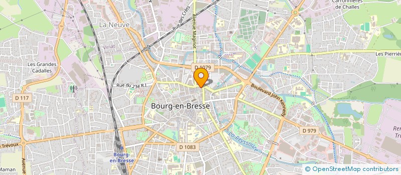 localisation de l'entreprise MONSIEUR RENE VINCENT à BOURG-EN-BRESSE