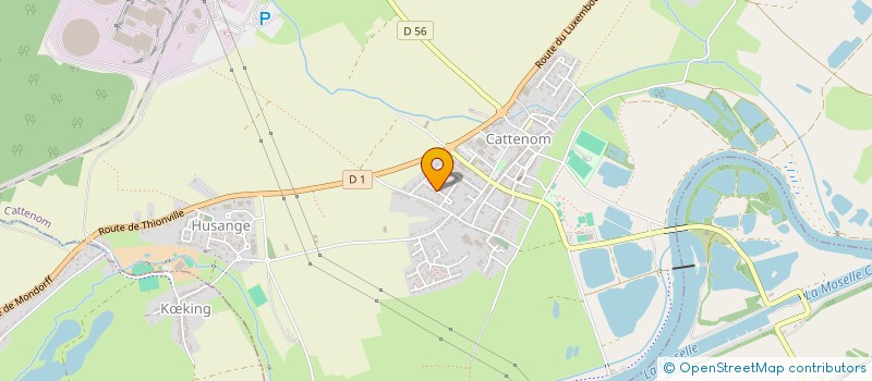 localisation de l'entreprise MONSIEUR RENZO ZANNIER  BERG-SUR-MOSELLE