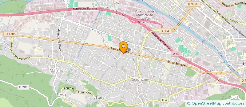 localisation de l'entreprise MONSIEUR RESUL ADIBELLI  SCIONZIER