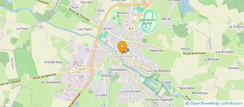localisation de l'entreprise MONSIEUR RESUL DAGOGLU à CHATILLON-SUR-CHALARONNE