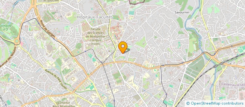 localisation de l'entreprise MONSIEUR REZA AMIRI à MONTPELLIER