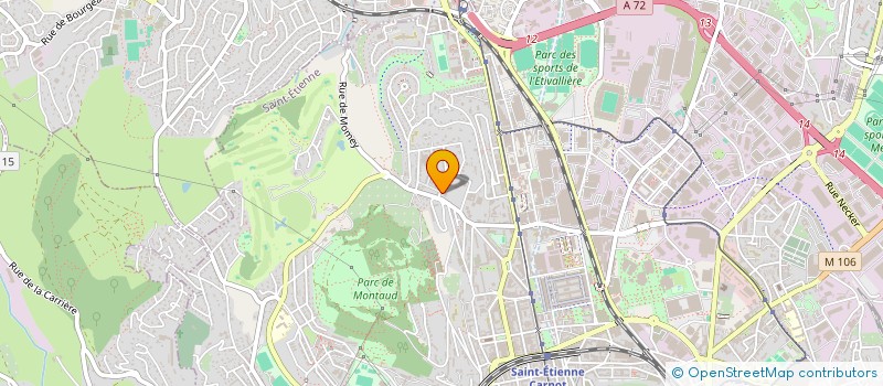 localisation de l'entreprise MONSIEUR RIAD AL NAJM  SAINT-ETIENNE