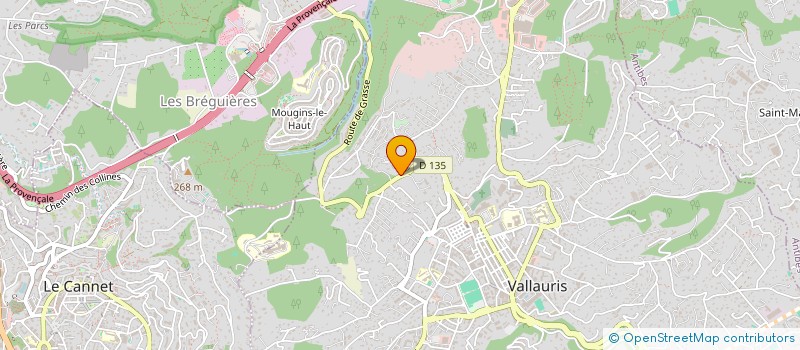 localisation de l'entreprise MONSIEUR RIAD GHALLOUSSI  VALLAURIS