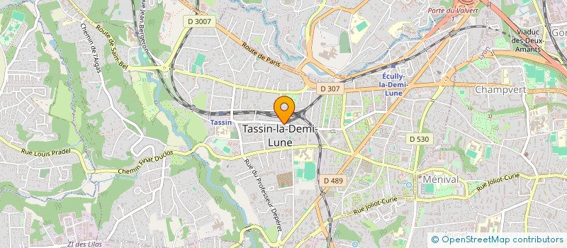 localisation de l'entreprise MONSIEUR RIAD HACINI  TASSIN-LA-DEMI-LUNE