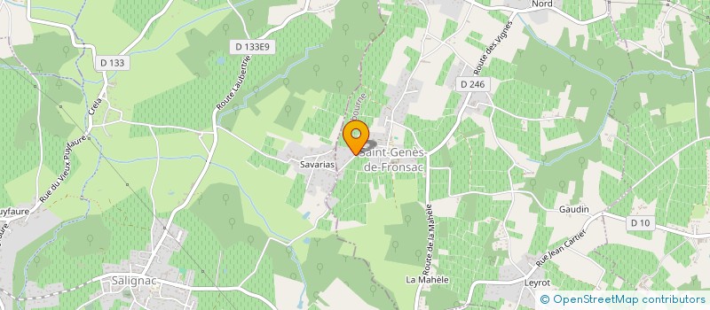 localisation de l'entreprise MONSIEUR RIAD MOKEDDEM à SAINT-GENES-DE-FRONSAC