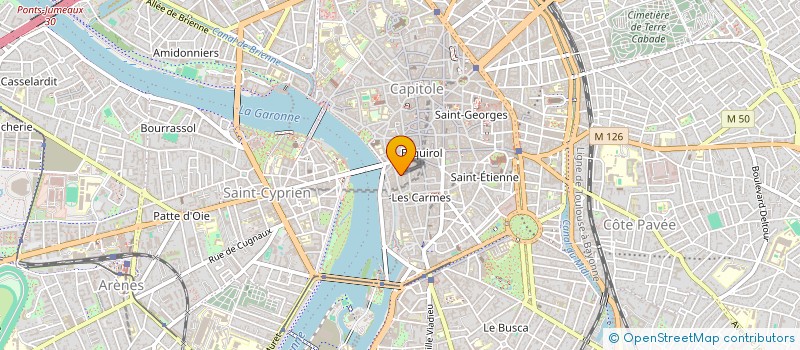 localisation de l'entreprise MONSIEUR RIAZ ALAM  TOULOUSE