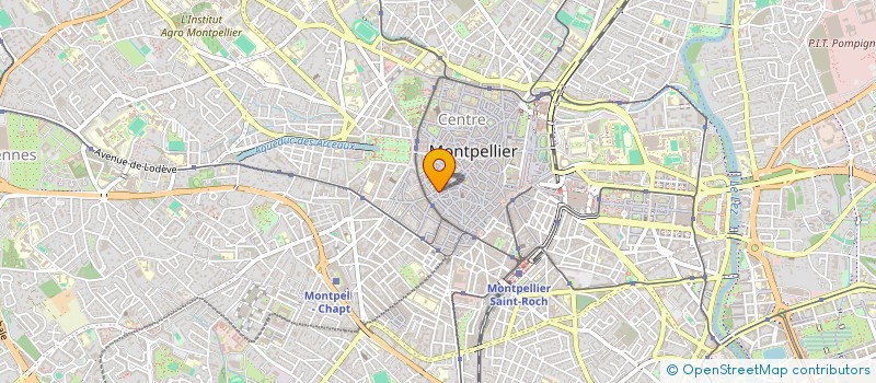 localisation de l'entreprise MONSIEUR RICARDO DE ANDRADE à MONTPELLIER