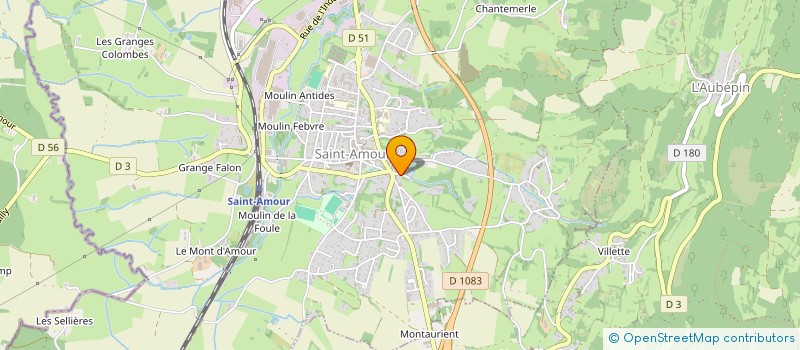 localisation de l'entreprise MONSIEUR RICARDO GUERREIRO DA SILVA  SAINT-AMOUR