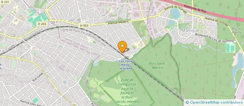 localisation de l'entreprise MONSIEUR RICARDO JOAO GAMEIRO  NOISY-LE-GRAND