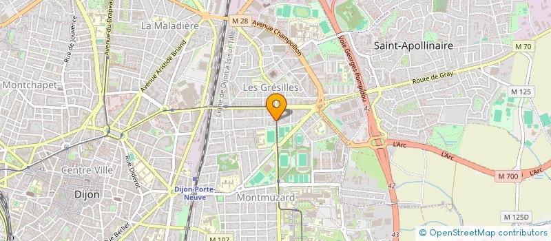 localisation de l'entreprise MONSIEUR RICARDO MONTEIRO PINTO à DIJON