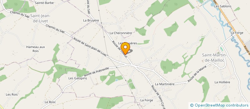 localisation de l'entreprise MONSIEUR RICARDO PRACA PEREIRA  SAINT-MARTIN-DE-MAILLOC