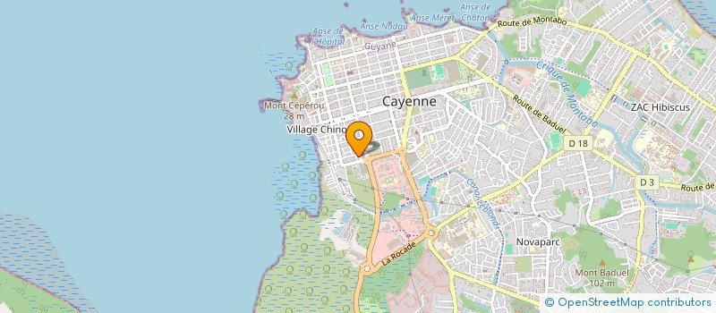 localisation de l'entreprise MONSIEUR RICARDO RODRIGUEZ RODRIGUEZ  CAYENNE