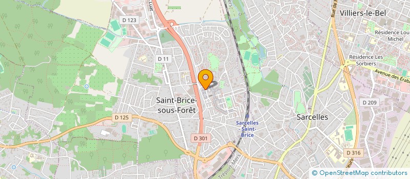 localisation de l'entreprise MONSIEUR RICARDO TEIXEIRA  SAINT-BRICE-SOUS-FORET