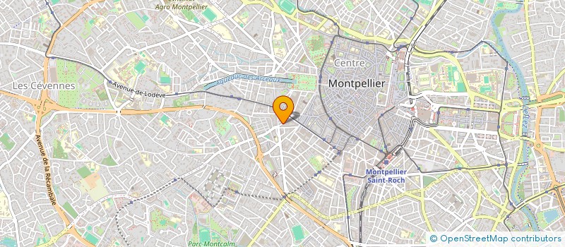 localisation de l'entreprise MONSIEUR RICCARDO CARDARELLI  MONTPELLIER