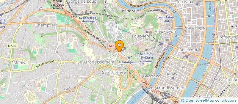 localisation de l'entreprise MONSIEUR RICCI BENEDTO à LYON