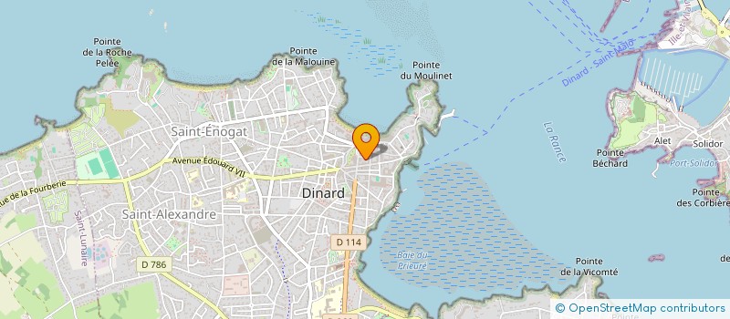 localisation de l'entreprise MONSIEUR RICHARD ALANIESSE à DINARD