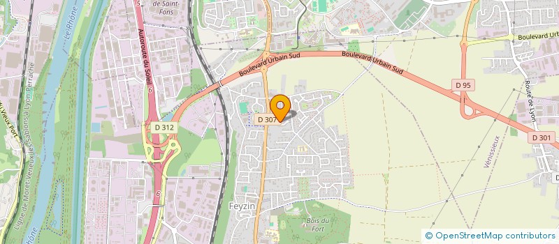 localisation de l'entreprise MONSIEUR RICHARD BAUMANN  FEYZIN