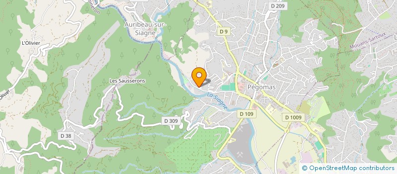 localisation de l'entreprise MONSIEUR RICHARD BEFVE  PEGOMAS